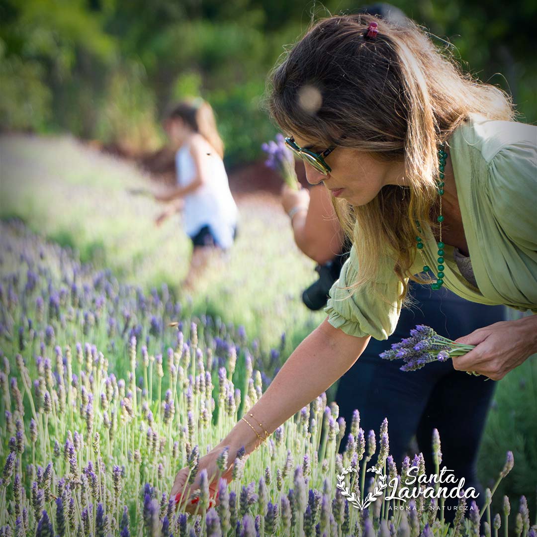 santa-lavanda-turismo3