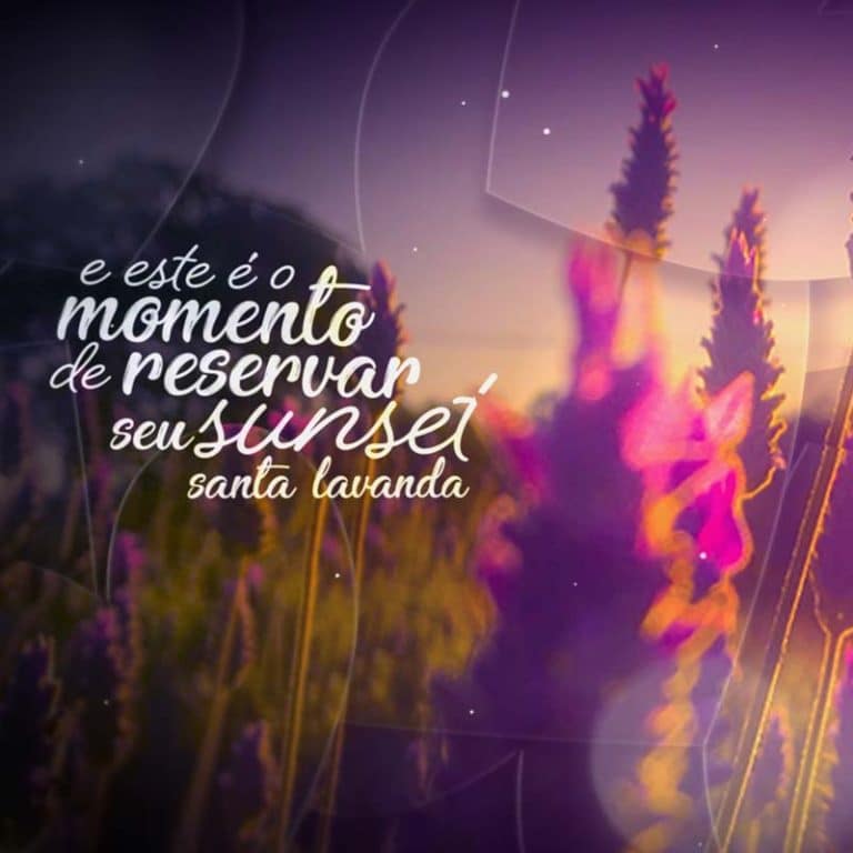 SunSet-Santa-Lavanda-site3