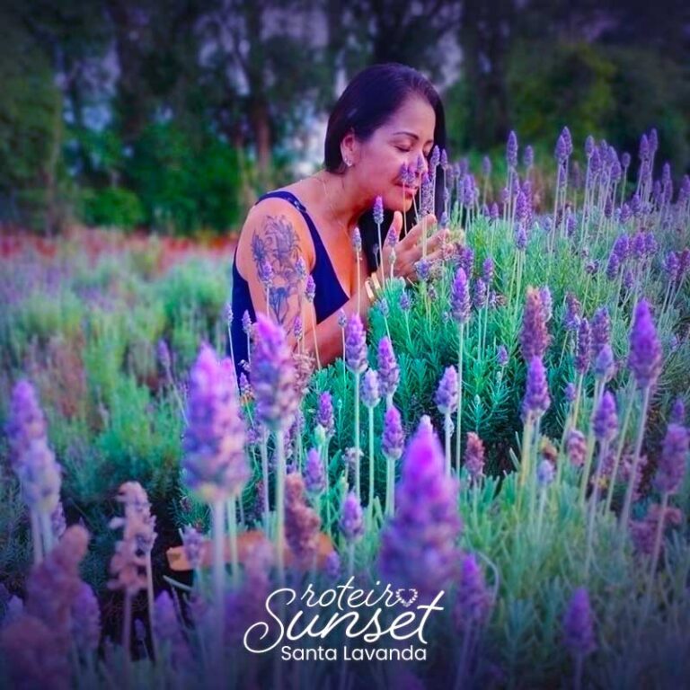 12-SUNSET-FOTOS-GALERIA