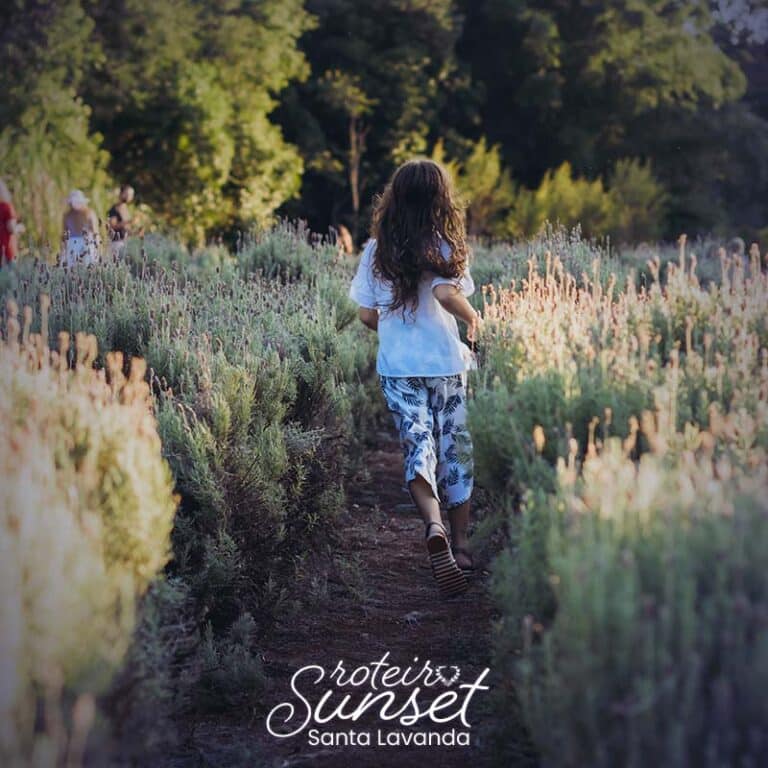 SUNSET-FOTOS-100