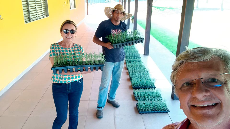 Mireile-mudas-da-santa-lavanda