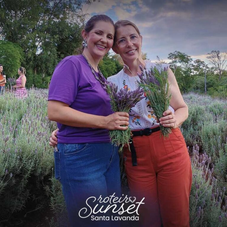 SUNSET-JAN24-ARTE-3