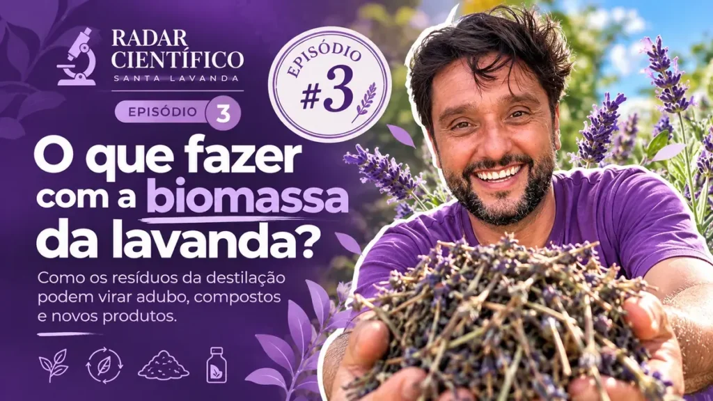 Capa do Radar Científico Santa Lavanda episódio 3: Biomassa de Lavandula dentata após destilação