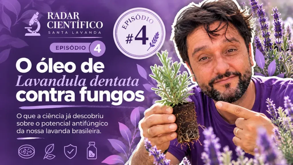 Capa do Radar Científico Santa Lavanda episódio 4: Óleo essencial de Lavandula dentata e fungos