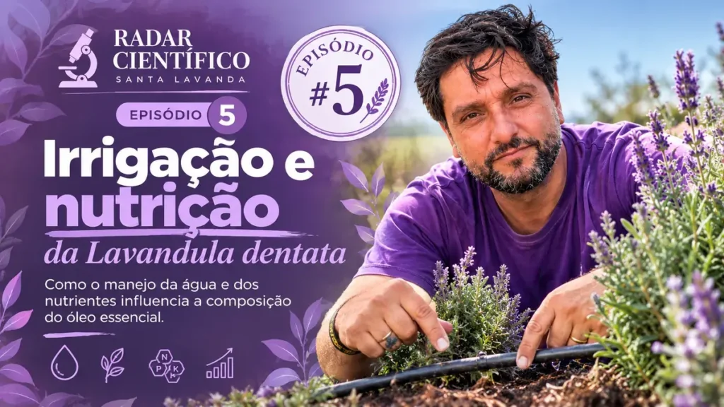 Capa do Radar Científico Santa Lavanda episódio 5: Irrigação e nutrição da Lavandula dentata