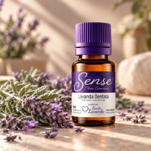 Óleo Essencial de Lavanda dentata