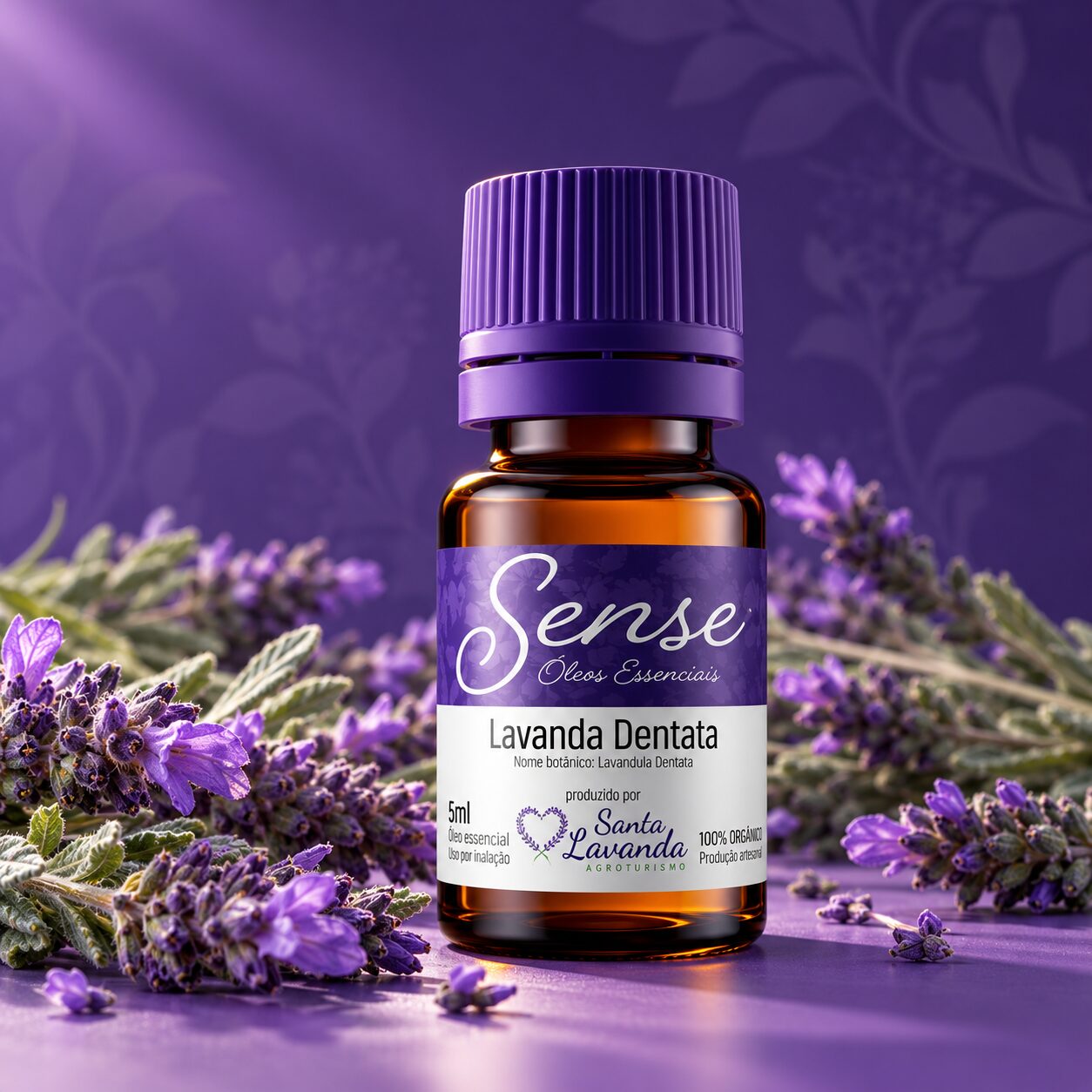 Óleo Essencial de Lavanda dentata - Imagem 2