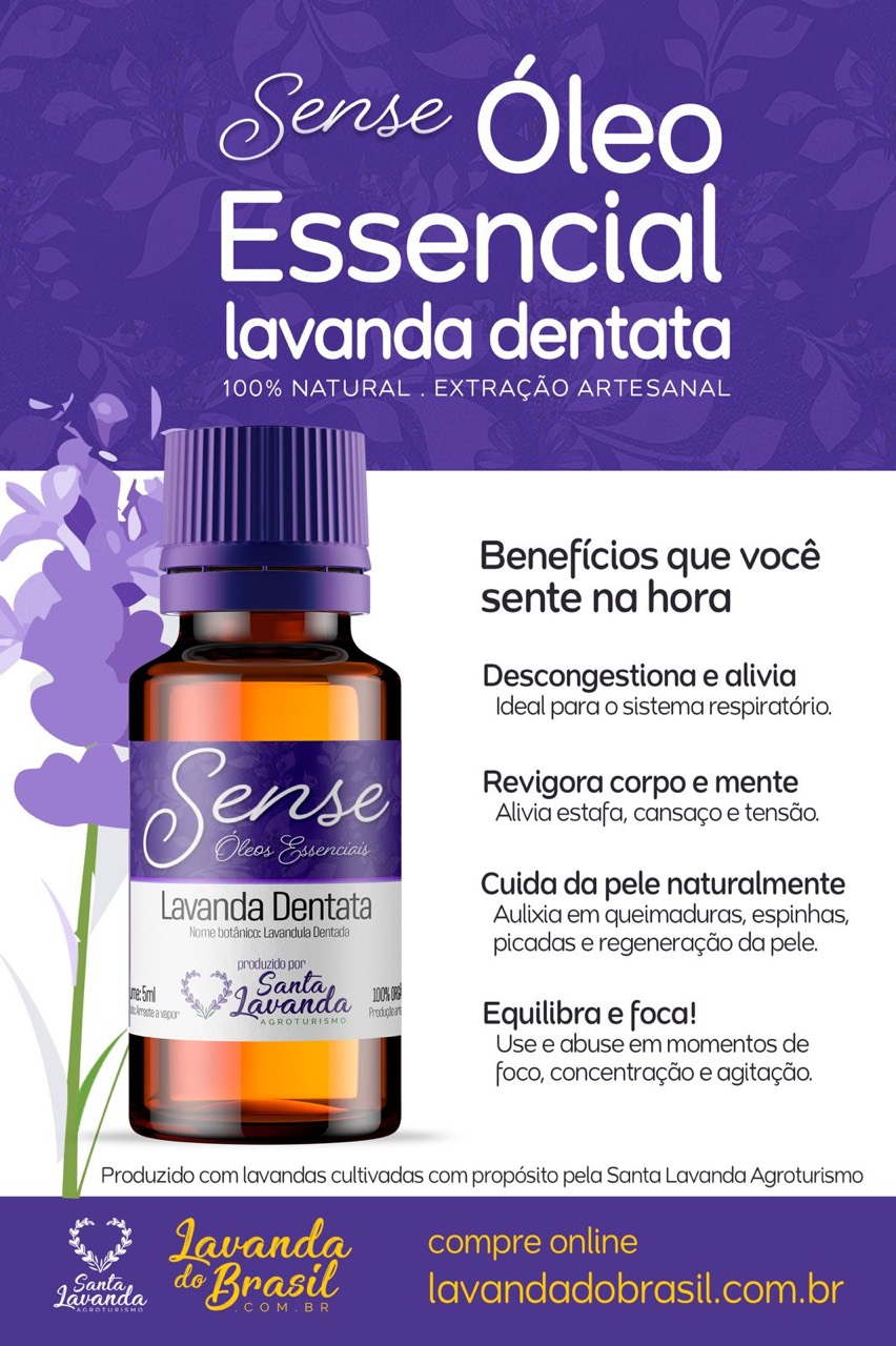 Infográfico: benefícios e usos do Óleo Essencial de Lavanda Dentata
