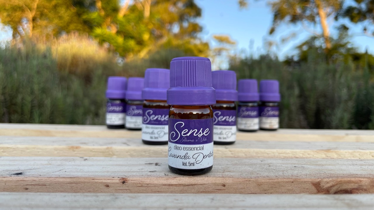 Óleo Essencial de Lavanda Dentata no lavandário Santa Lavanda