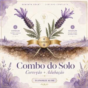 Lavanda Solo — Combo Correção + Adubação